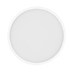 Xiaomi Smart Ceiling Light D40