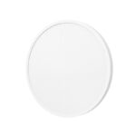 Xiaomi Smart Ceiling Light D20